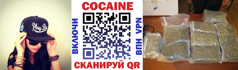 Купить где  Теберда  COCAIN 99% 