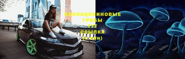 PSILOCYBIN Вязники