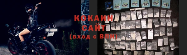 дмт Вяземский