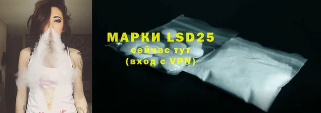 PSILOCYBIN Вязники