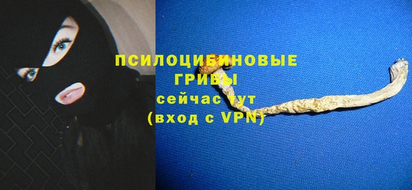 PSILOCYBIN Вязники