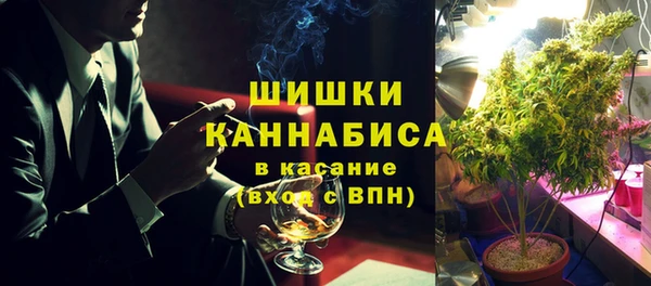 PSILOCYBIN Вязники