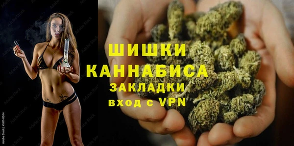 дмт Вяземский