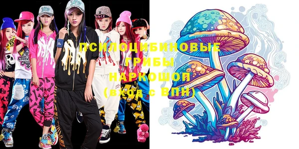 дмт Вяземский