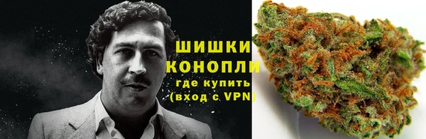 PSILOCYBIN Вязники